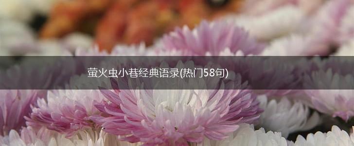 萤火虫小巷经典语录(热门58句),第1张