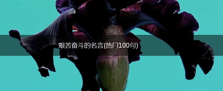 艰苦奋斗的名言(热门100句),第1张 艰苦奋斗的名言(热门100句),第1张