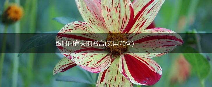 跟时间有关的名言(实用70句),第1张 跟时间有关的名言(实用70句),第1张