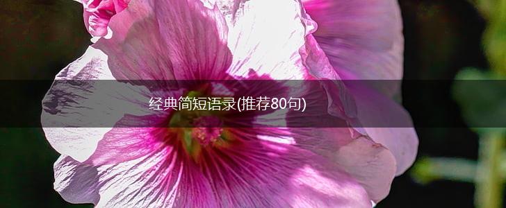 经典简短语录(推荐80句),第1张