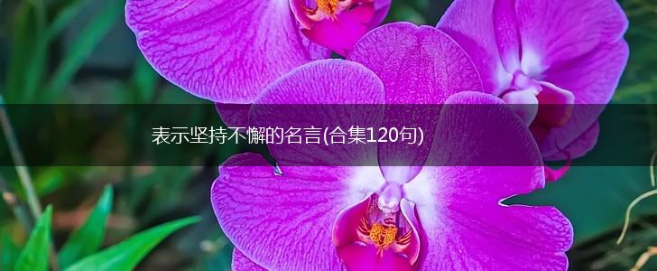 表示坚持不懈的名言(合集120句),第1张 表示坚持不懈的名言(合集120句),第1张