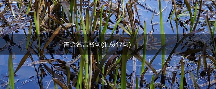 霍金名言名句(汇总47句),第1张