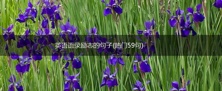 英语语录励志的句子(热门59句),第1张
