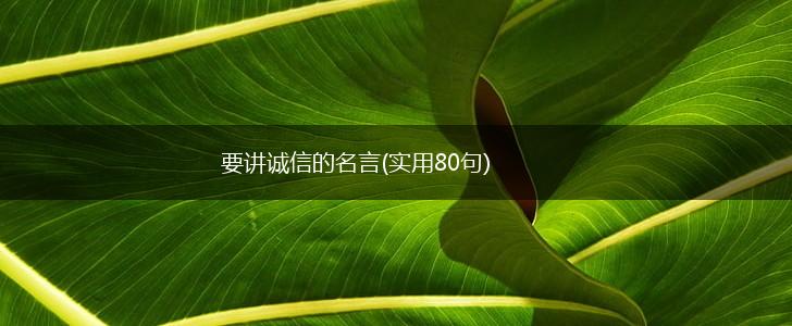 要讲诚信的名言(实用80句),第1张 要讲诚信的名言(实用80句),第1张