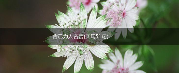 舍己为人名言(实用51句),第1张 舍己为人名言(实用51句),第1张