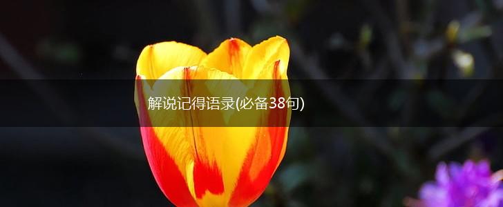 解说记得语录(必备38句),第1张