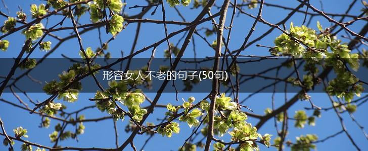 形容女人不老的句子(50句),第1张
