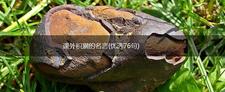 课外积累的名言(优选76句),第1张
