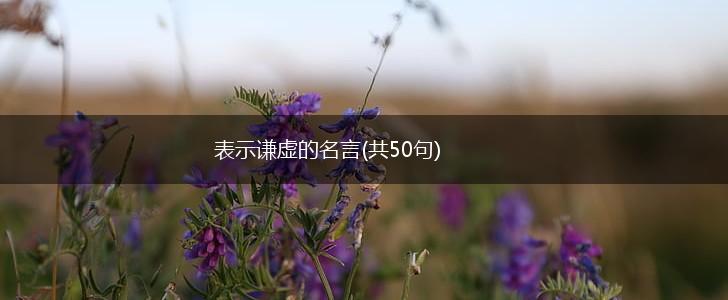 表示谦虚的名言(共50句),第1张