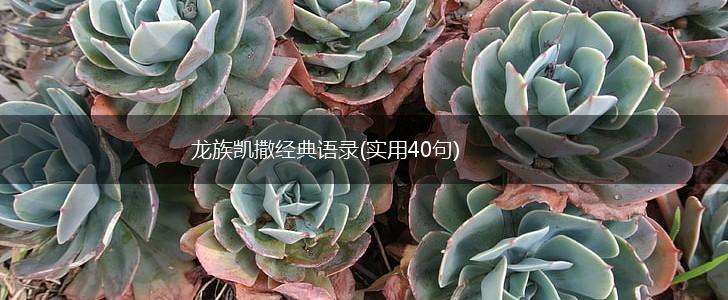 龙族凯撒经典语录(实用40句),第1张