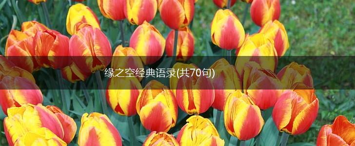 缘之空经典语录(共70句),第1张