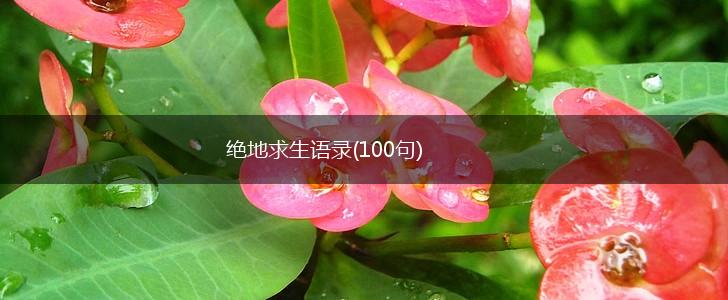 绝地求生语录(100句),第1张