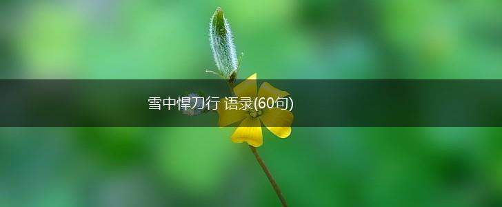 雪中悍刀行 语录(60句),第1张