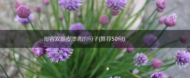 形容双眼皮漂亮的句子(推荐50句),第1张