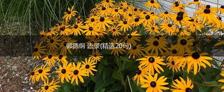 郭德纲 语录(精选20句),第1张