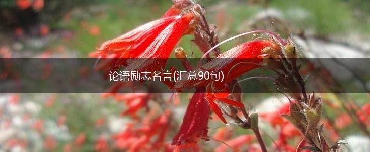 论语励志名言(汇总90句),第1张