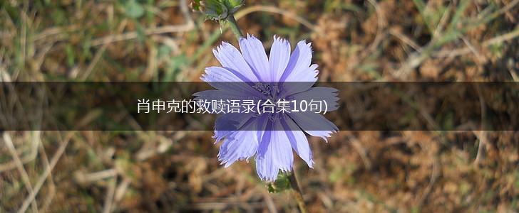 肖申克的救赎语录(合集10句),第1张