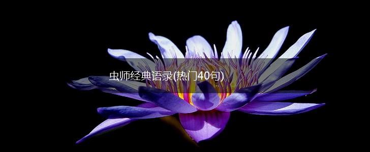虫师经典语录(热门40句),第1张