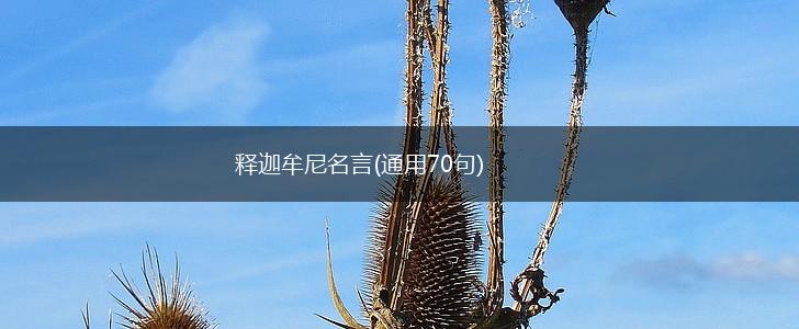 释迦牟尼名言(通用70句),第1张 释迦牟尼名言(通用70句),第1张