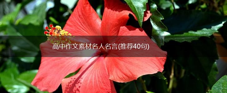 高中作文素材名人名言(推荐40句),第1张