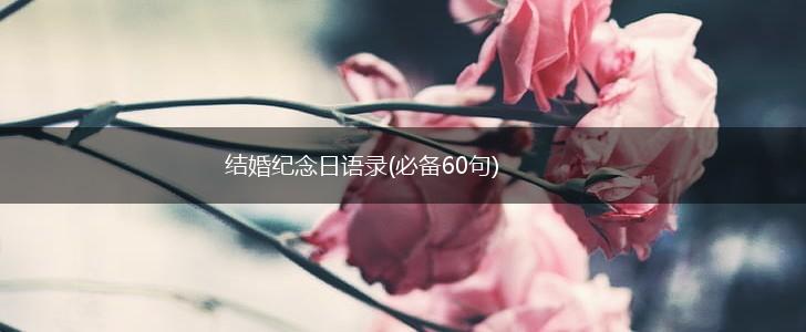 结婚纪念日语录(必备60句),第1张