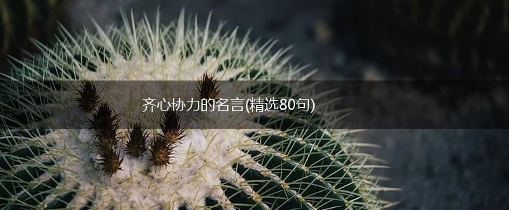 齐心协力的名言(精选80句),第1张