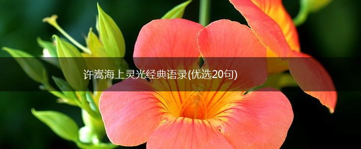 许嵩海上灵光经典语录(优选20句),第1张