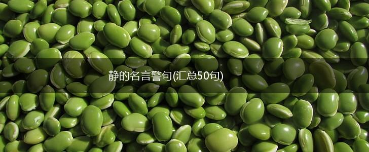静的名言警句(汇总50句),第1张