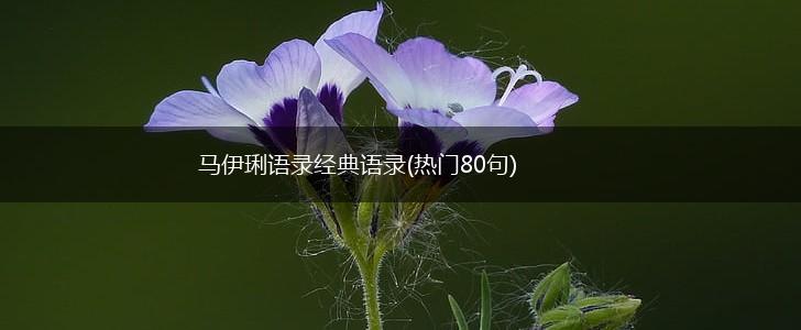 马伊琍语录经典语录(热门80句),第1张