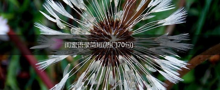 闺蜜语录简短(热门70句),第1张