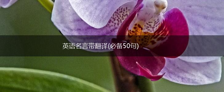 英语名言带翻译(必备50句),第1张