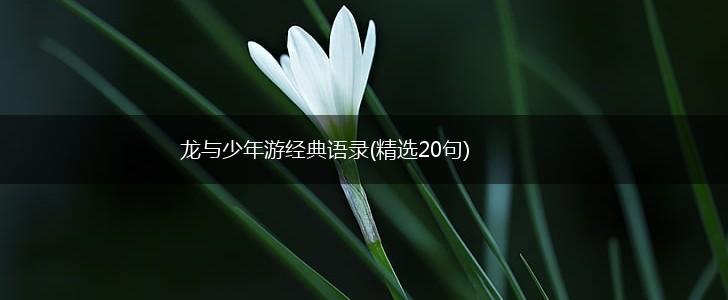 龙与少年游经典语录(精选20句),第1张