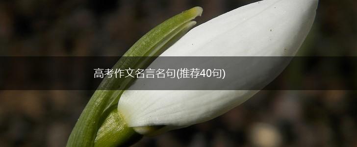 高考作文名言名句(推荐40句),第1张
