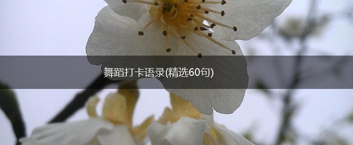 舞蹈打卡语录(精选60句),第1张
