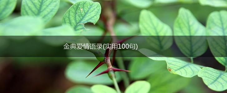 金典爱情语录(实用100句),第1张