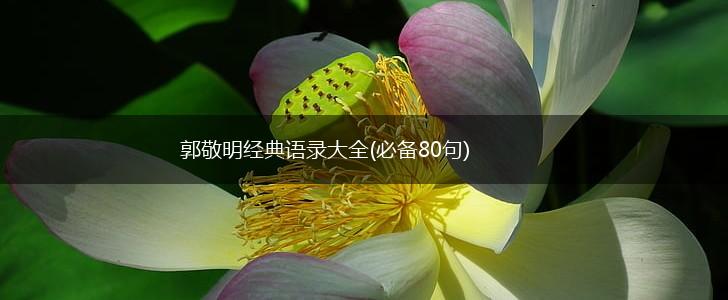 郭敬明经典语录大全(必备80句),第1张