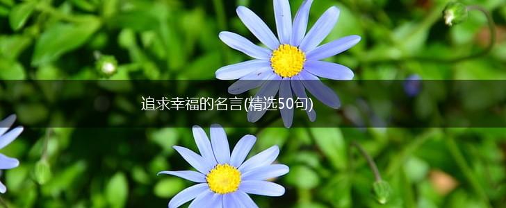 追求幸福的名言(精选50句),第1张