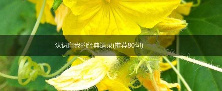 认识自我的经典语录(推荐80句),第1张