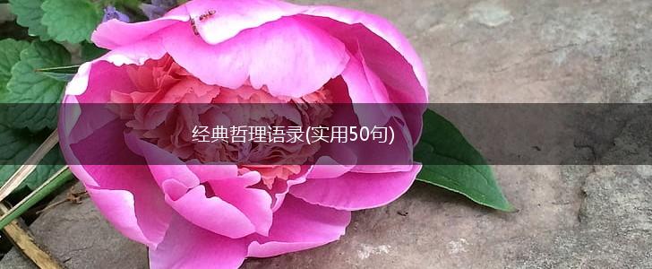 经典哲理语录(实用50句),第1张