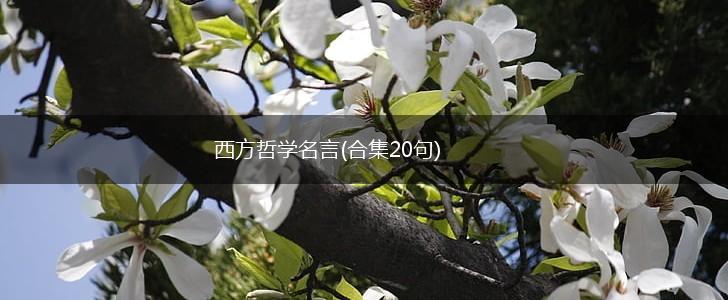 西方哲学名言(合集20句),第1张 西方哲学名言(合集20句),第1张