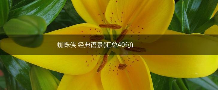蜘蛛侠 经典语录(汇总40句),第1张