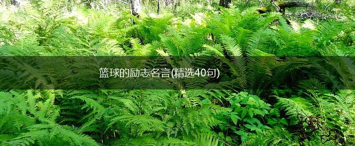 篮球的励志名言(精选40句),第1张 篮球的励志名言(精选40句),第1张