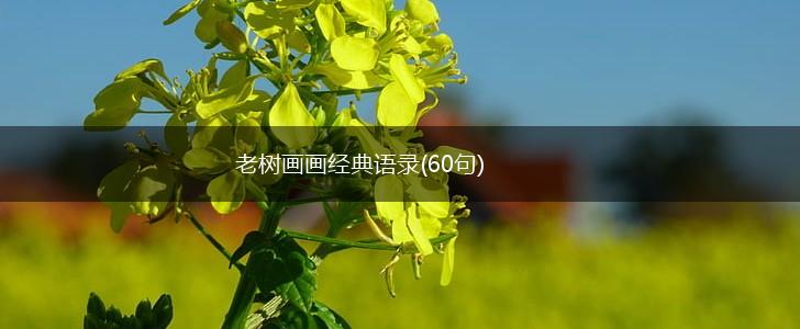 老树画画经典语录(60句),第1张
