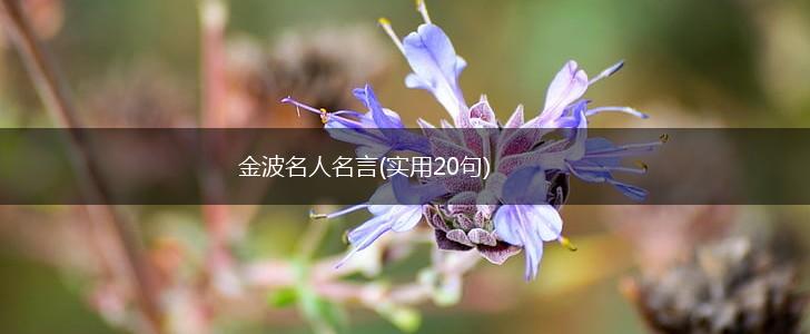 金波名人名言(实用20句),第1张