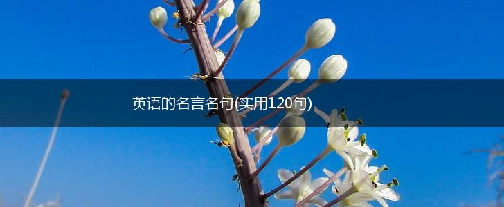 英语的名言名句(实用120句),第1张 英语的名言名句(实用120句),第1张