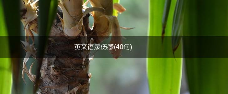 英文语录伤感(40句),第1张