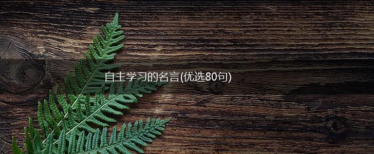 自主学习的名言(优选80句),第1张