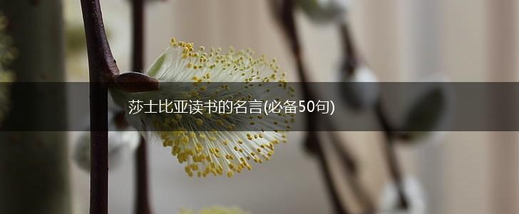 莎士比亚读书的名言(必备50句),第1张