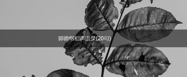 郭德纲相声语录(20句),第1张