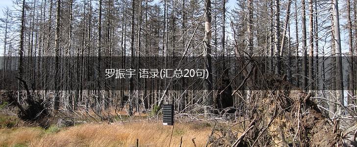 罗振宇 语录(汇总20句),第1张